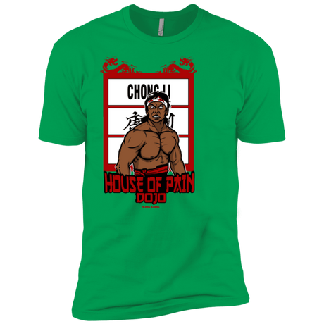 T-Shirts Kelly Green / YXS House Of Pain Boys Premium T-Shirt