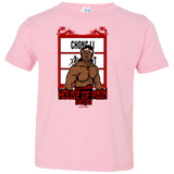 T-Shirts Pink / 2T House Of Pain Toddler Premium T-Shirt