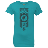 T-Shirts Tahiti Blue / YXS House Stark Black Girls Premium T-Shirt