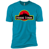 T-Shirts Turquoise / YXS House Stark Boys Premium T-Shirt
