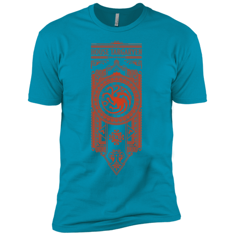T-Shirts Turquoise / YXS House Targaryen Boys Premium T-Shirt