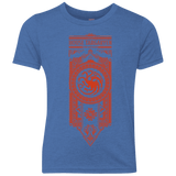 T-Shirts Vintage Royal / YXS House Targaryen Youth Triblend T-Shirt