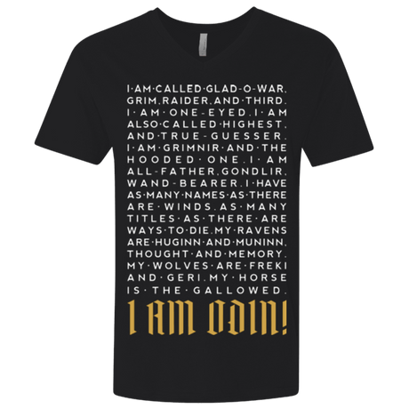 T-Shirts Black / X-Small I am Odin Men's Premium V-Neck