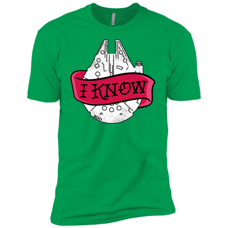 T-Shirts Kelly Green / YXS I Know Boys Premium T-Shirt