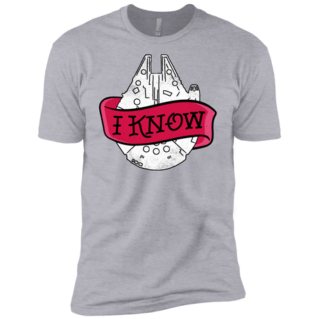 T-Shirts Heather Grey / X-Small I Know Men's Premium T-Shirt