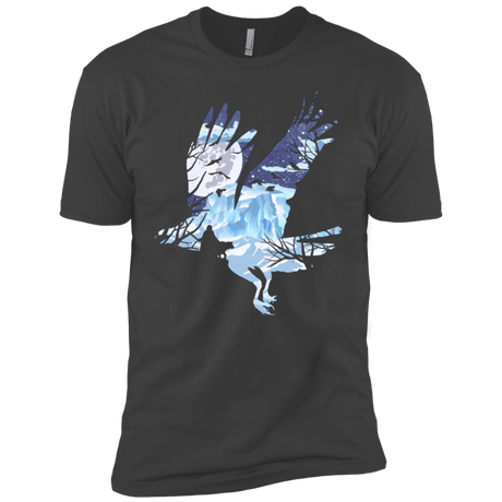 T-Shirts Heavy Metal / YXS I know nothing Boys Premium T-Shirt