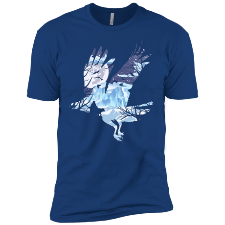 T-Shirts Royal / YXS I know nothing Boys Premium T-Shirt