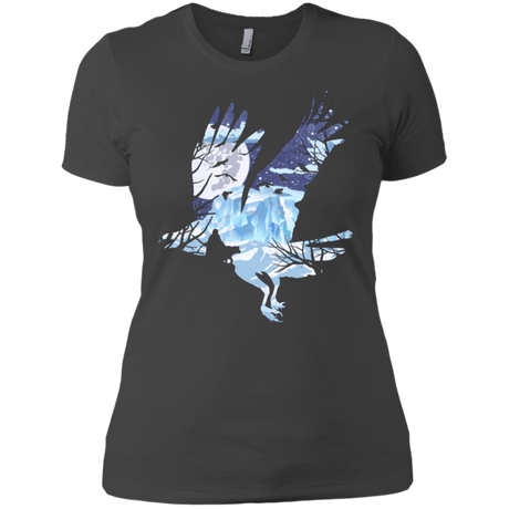 T-Shirts Heavy Metal / X-Small I know nothing Women's Premium T-Shirt