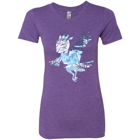 T-Shirts Purple Rush / Small I know nothing Women's Triblend T-Shirt