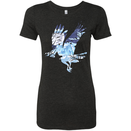 T-Shirts Vintage Black / Small I know nothing Women's Triblend T-Shirt