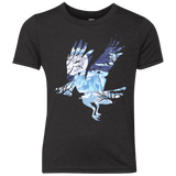 T-Shirts Vintage Black / YXS I know nothing Youth Triblend T-Shirt