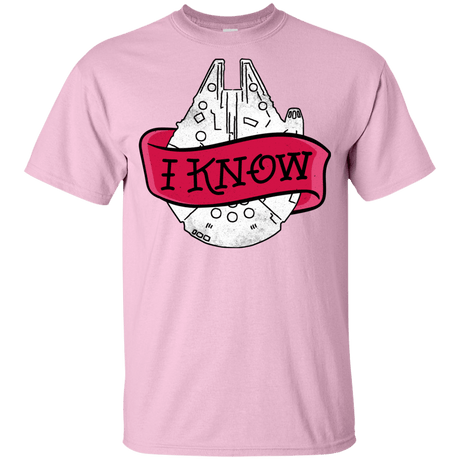 T-Shirts Light Pink / YXS I Know Youth T-Shirt