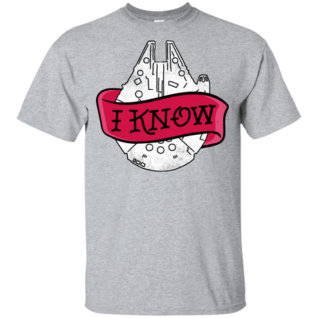 T-Shirts Sport Grey / YXS I Know Youth T-Shirt