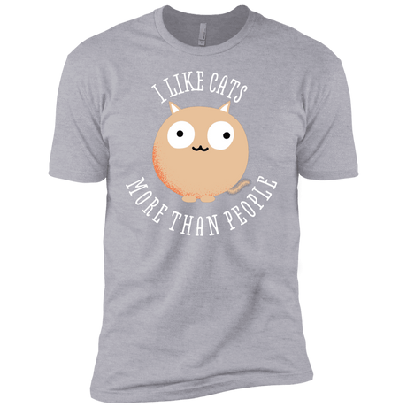 T-Shirts Heather Grey / YXS I Like Cats Boys Premium T-Shirt