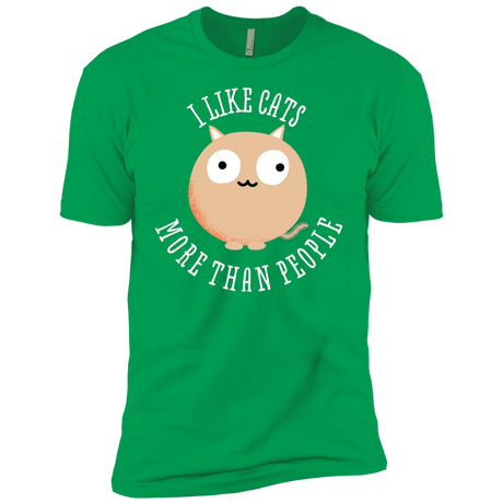 T-Shirts Kelly Green / YXS I Like Cats Boys Premium T-Shirt