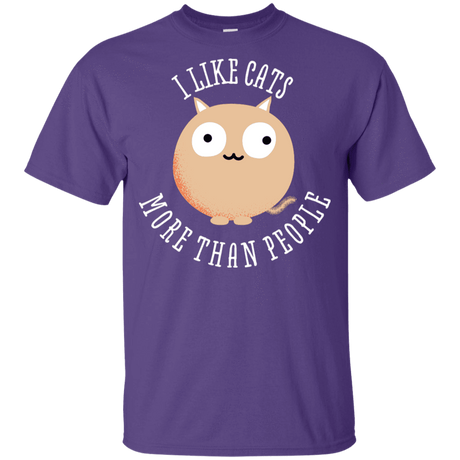 T-Shirts Purple / YXS I Like Cats Youth T-Shirt