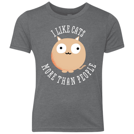 T-Shirts Premium Heather / YXS I Like Cats Youth Triblend T-Shirt