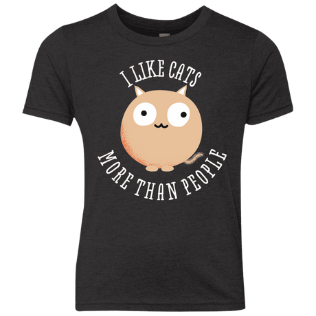 T-Shirts Vintage Black / YXS I Like Cats Youth Triblend T-Shirt