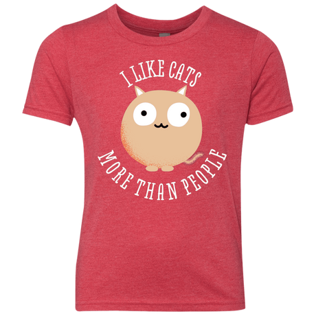 T-Shirts Vintage Red / YXS I Like Cats Youth Triblend T-Shirt