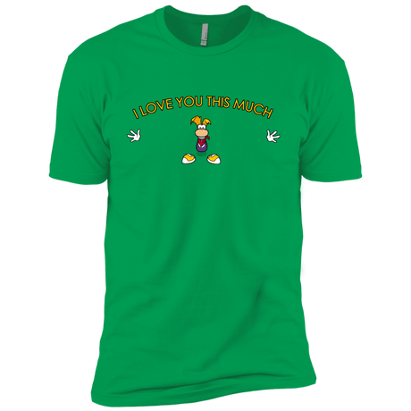 T-Shirts Kelly Green / YXS I Love You This Much Boys Premium T-Shirt