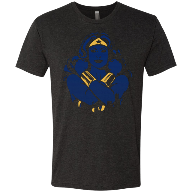 T-Shirts Vintage Black / Small I Protect this City WW Men's Triblend T-Shirt