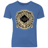 T-Shirts Vintage Royal / YXS I Solemnly Swear Youth Triblend T-Shirt