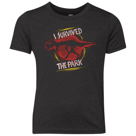T-Shirts Vintage Black / YXS I SURVIVED THE PARK Youth Triblend T-Shirt