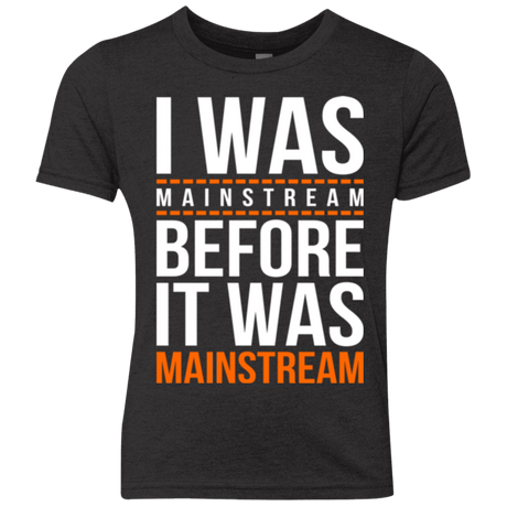 T-Shirts Vintage Black / YXS I was mainstream Youth Triblend T-Shirt