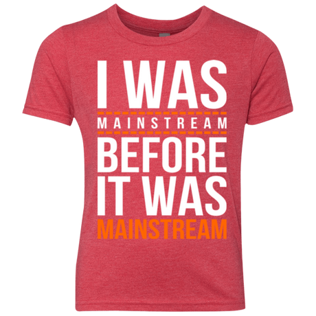 T-Shirts Vintage Red / YXS I was mainstream Youth Triblend T-Shirt