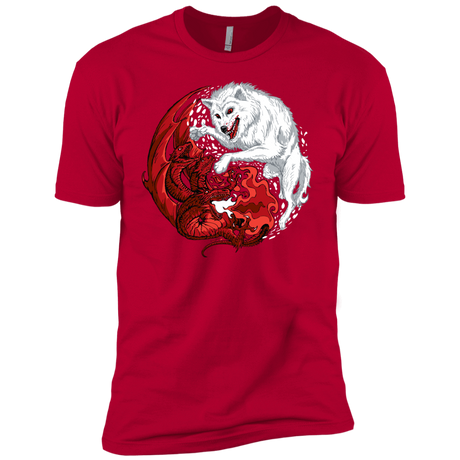 T-Shirts Red / YXS Ice and Fire Boys Premium T-Shirt