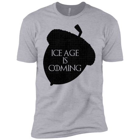 T-Shirts Heather Grey / YXS Ice coming Boys Premium T-Shirt