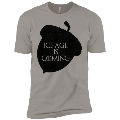 T-Shirts Light Grey / YXS Ice coming Boys Premium T-Shirt