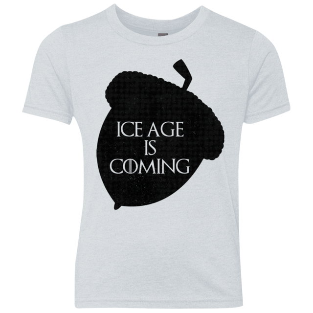 T-Shirts Heather White / YXS Ice coming Youth Triblend T-Shirt