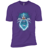 T-Shirts Purple Rush / YXS Ice Nightmare Boys Premium T-Shirt
