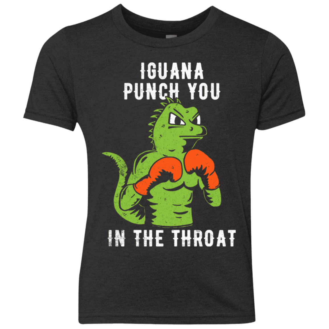 T-Shirts Vintage Black / YXS Iguana Punch You Youth Triblend T-Shirt