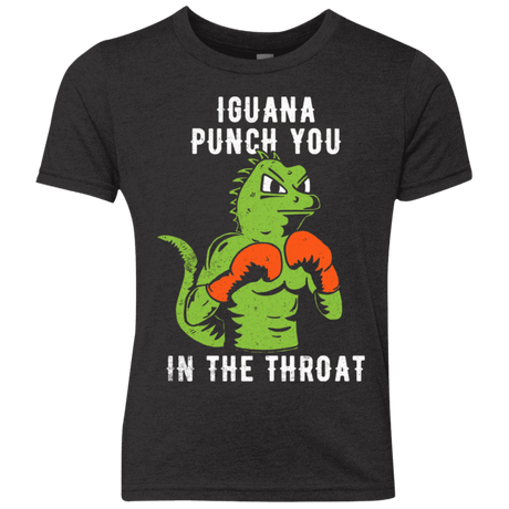 T-Shirts Vintage Black / YXS Iguana Punch You Youth Triblend T-Shirt