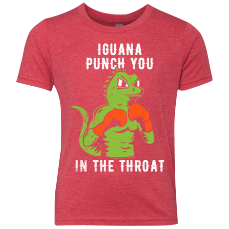 T-Shirts Vintage Red / YXS Iguana Punch You Youth Triblend T-Shirt