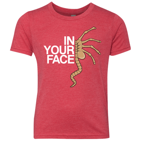 T-Shirts Vintage Red / YXS IN YOUR FACE Youth Triblend T-Shirt