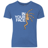 T-Shirts Vintage Royal / YXS IN YOUR FACE Youth Triblend T-Shirt