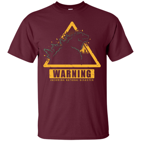 T-Shirts Maroon / Small Incoming Natural Disaster T-Shirt