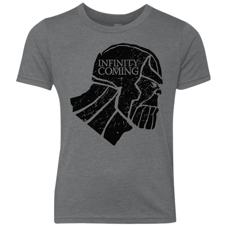 T-Shirts Premium Heather / YXS Infinity is coming Youth Triblend T-Shirt