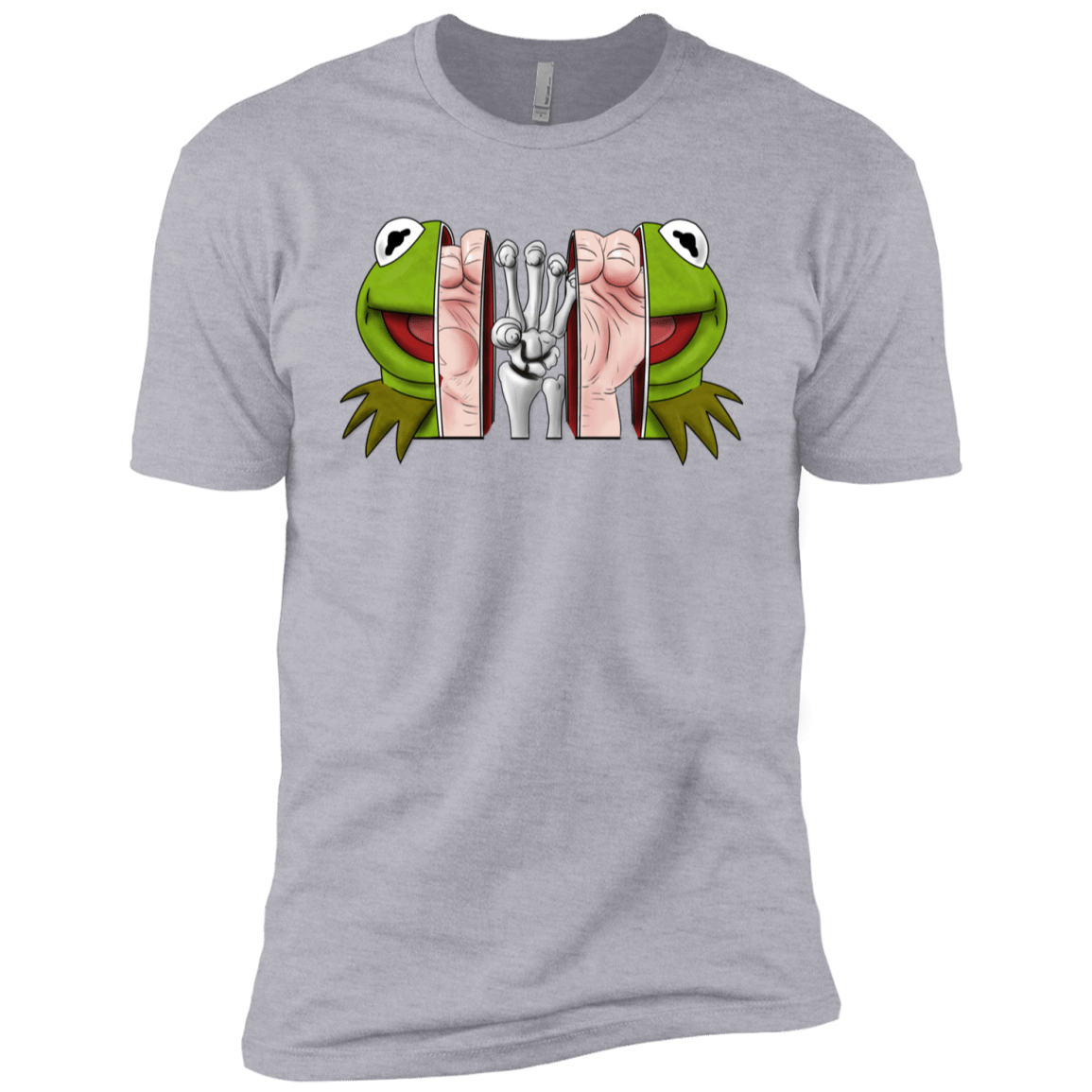 T-Shirts Heather Grey / YXS Inside the Frog Boys Premium T-Shirt