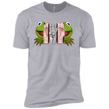 T-Shirts Heather Grey / YXS Inside the Frog Boys Premium T-Shirt