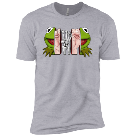 T-Shirts Heather Grey / YXS Inside the Frog Boys Premium T-Shirt