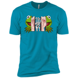 T-Shirts Turquoise / YXS Inside the Frog Boys Premium T-Shirt