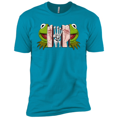 T-Shirts Turquoise / YXS Inside the Frog Boys Premium T-Shirt