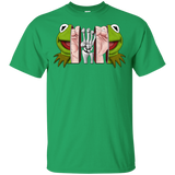 T-Shirts Irish Green / YXS Inside the Frog Youth T-Shirt
