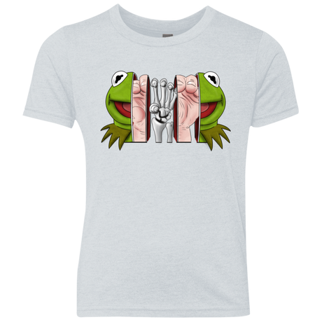 T-Shirts Heather White / YXS Inside the Frog Youth Triblend T-Shirt