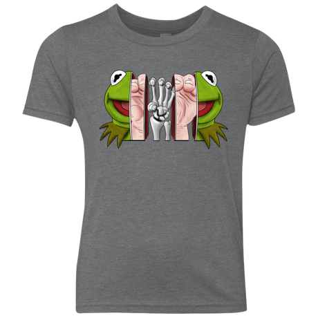 T-Shirts Premium Heather / YXS Inside the Frog Youth Triblend T-Shirt