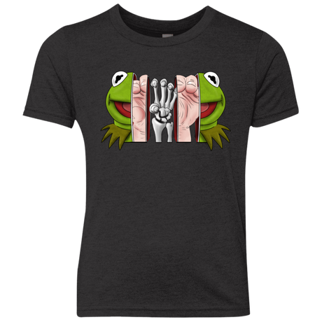 T-Shirts Vintage Black / YXS Inside the Frog Youth Triblend T-Shirt